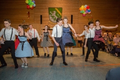 2019-02-16-FW-Ball-69
